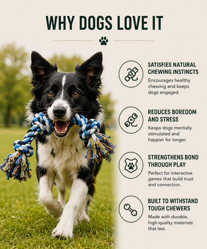 Heavy-Duty Dog Rope