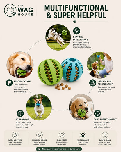 Food Ball Toy