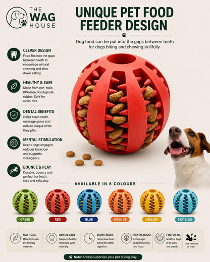 Food Ball Toy