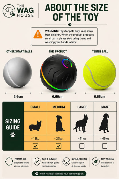 Motion Dog Ball