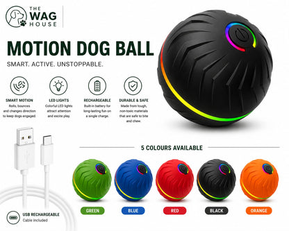 Motion Dog Ball