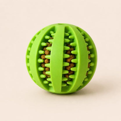 Food Ball Toy