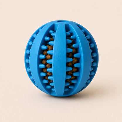 Food Ball Toy