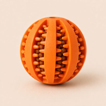 Food Ball Toy