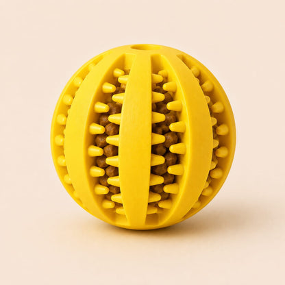 Food Ball Toy