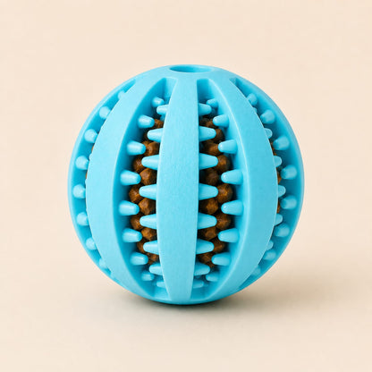 Food Ball Toy