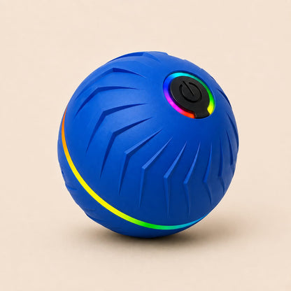 Motion Dog Ball