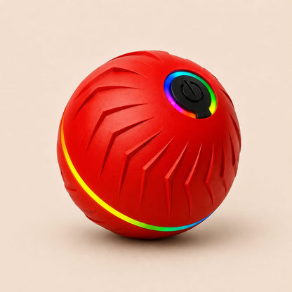 Motion Dog Ball