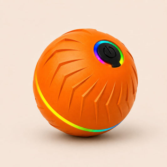 Motion Dog Ball