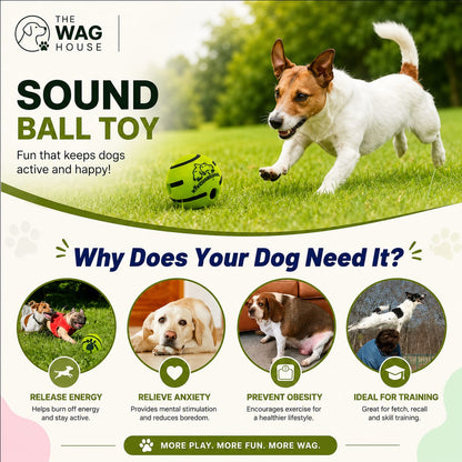Sound Ball Toy