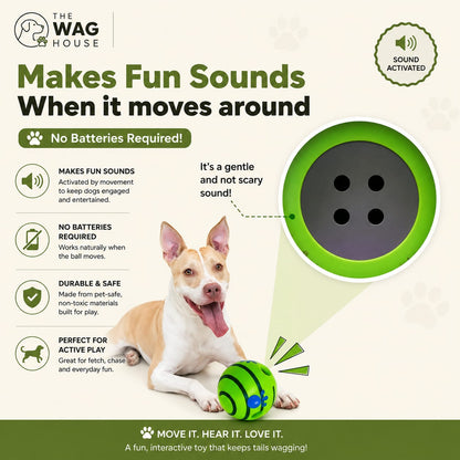 Sound Ball Toy