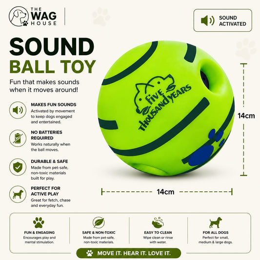 Sound Ball Toy