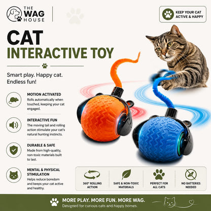 Purr & Play™