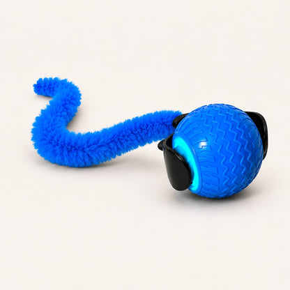 Purr & Play™